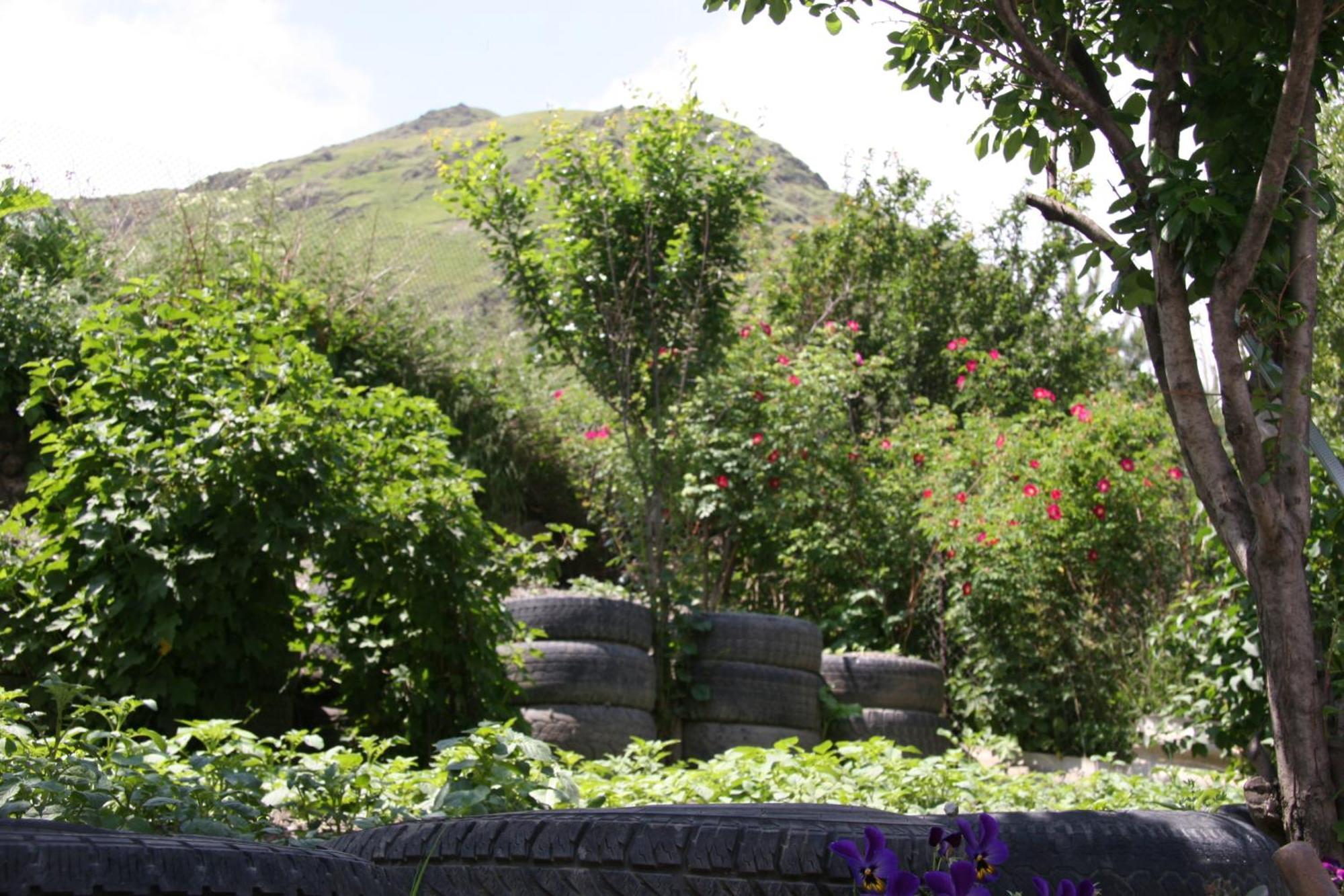 Guest House Sabauri Kazbegi Exterior foto